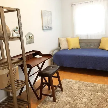 Overlooking Downtown Dunedin Two Bedroom Apartment No Kids, No Pets Exterior photo