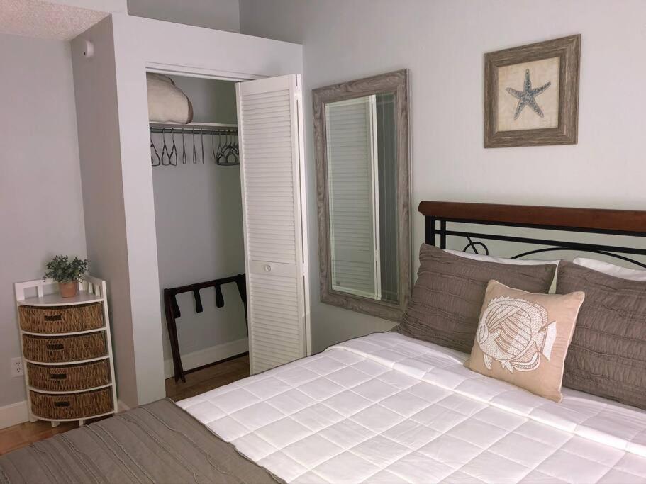 Overlooking Downtown Two Bedroom No Kids, No Pets * Dunedin